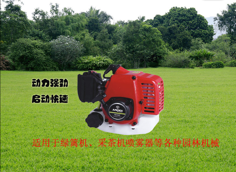 安奇迪1E32F二沖汽油發動機 農林園藝動力的全能之選